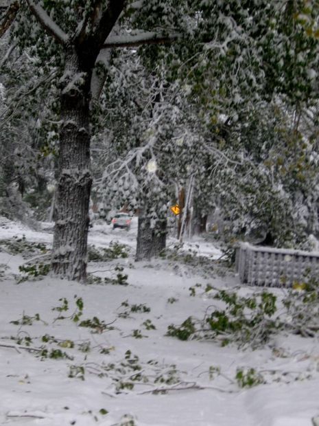 Winter Storm Atlas